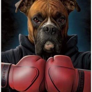 Meet your Posher, Konrad